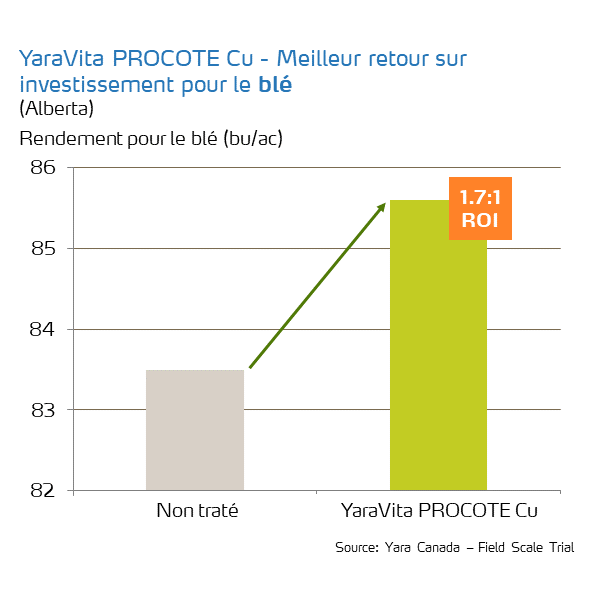 procote cu roi on wheat